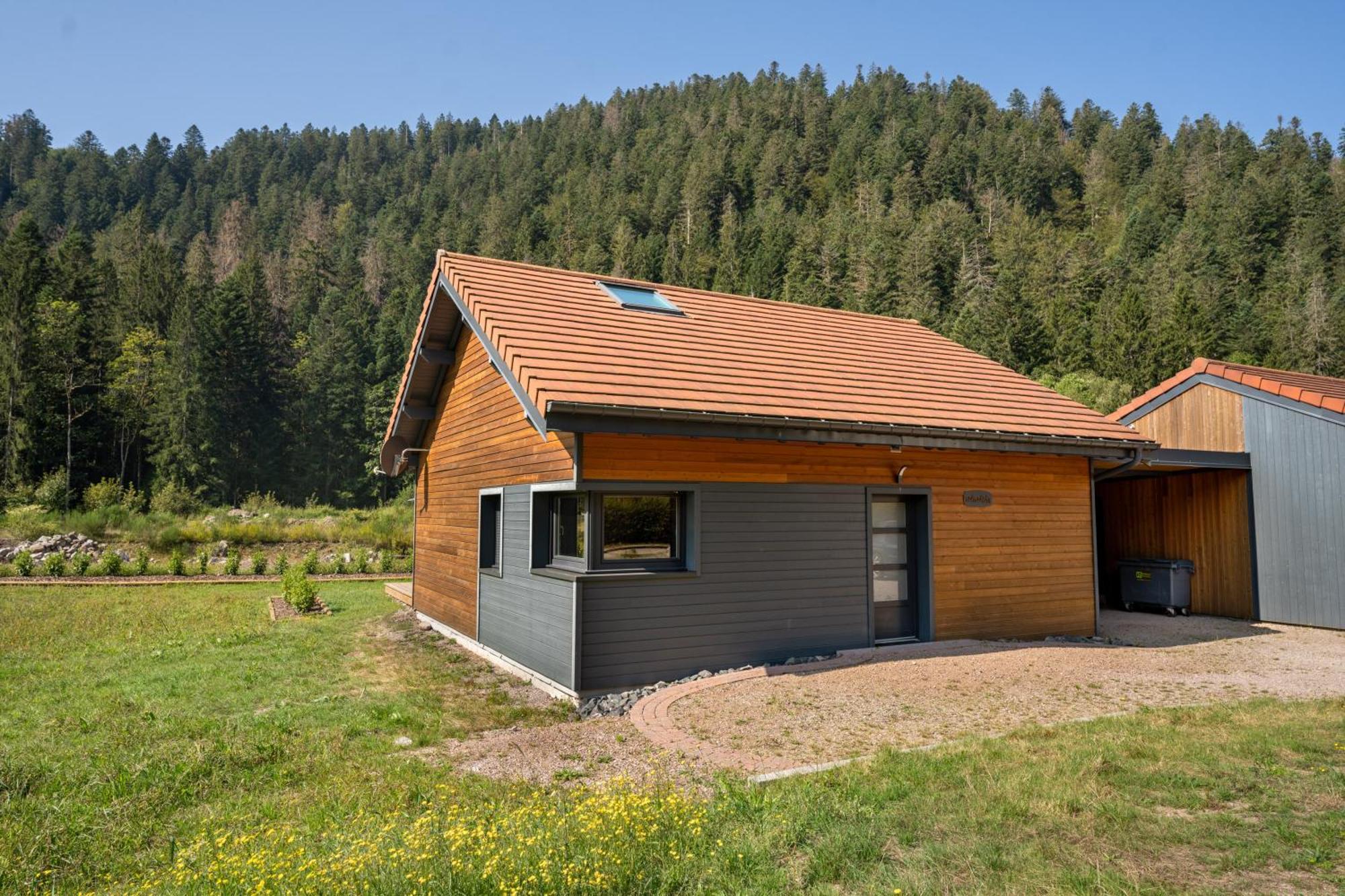 Chalet Nemesia Avec Spa A Gerardmer Bagian luar foto
