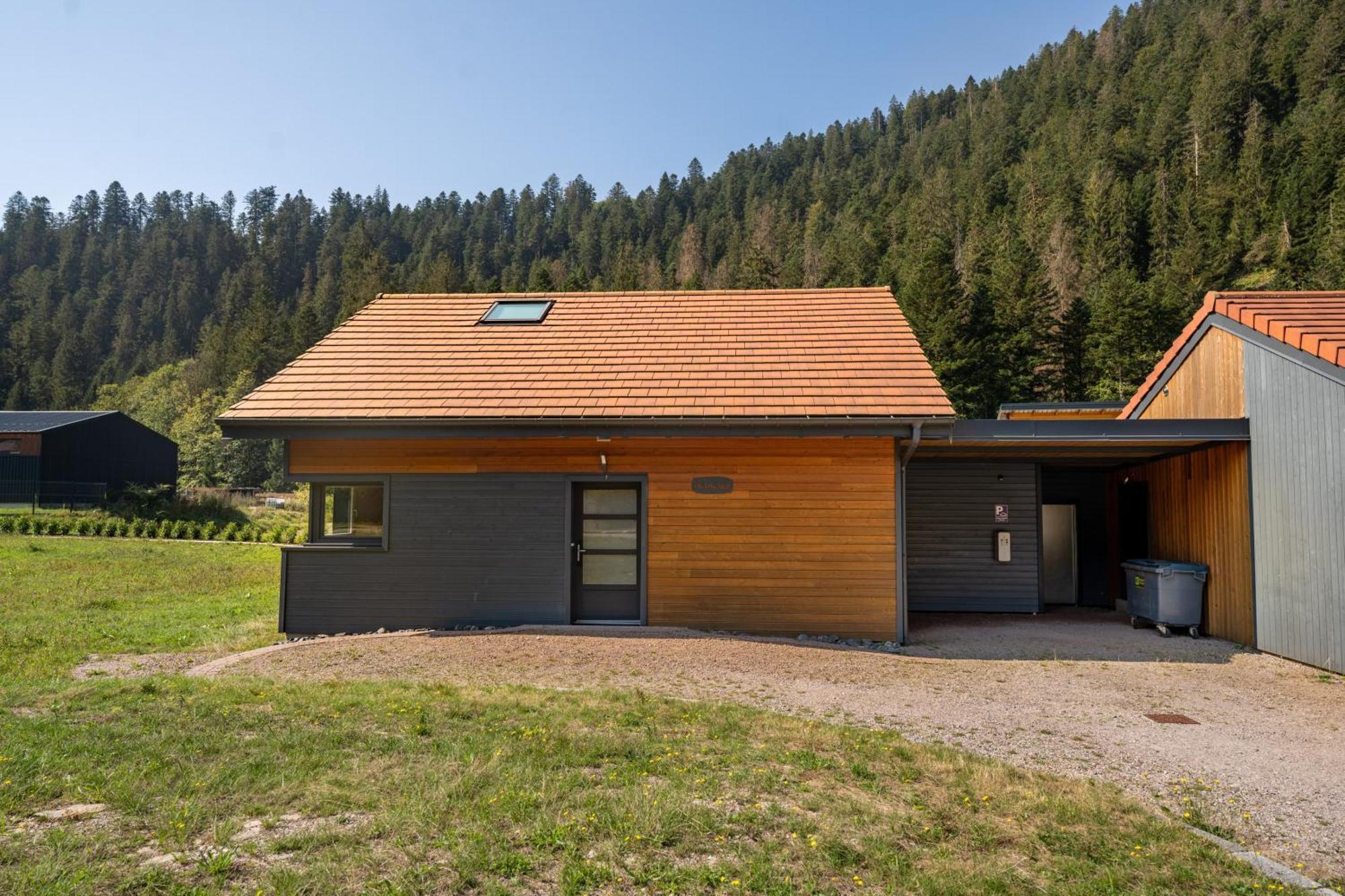 Chalet Nemesia Avec Spa A Gerardmer Bagian luar foto